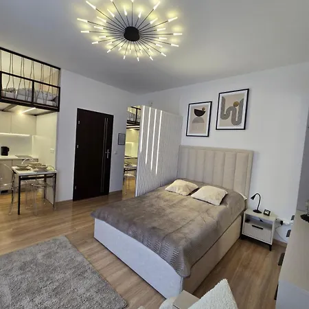 Bb W Centrum Z Antresola Apartment Krynica Zdroj